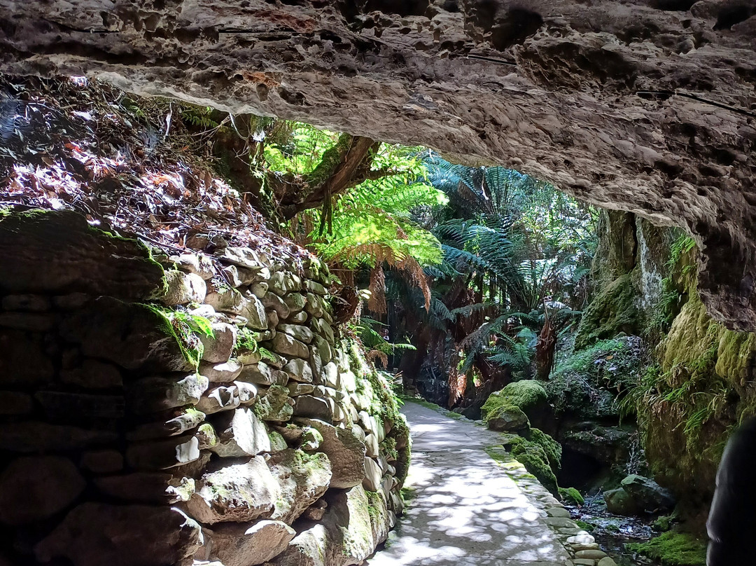 Marakoopa Cave-茉莉溪必去景点