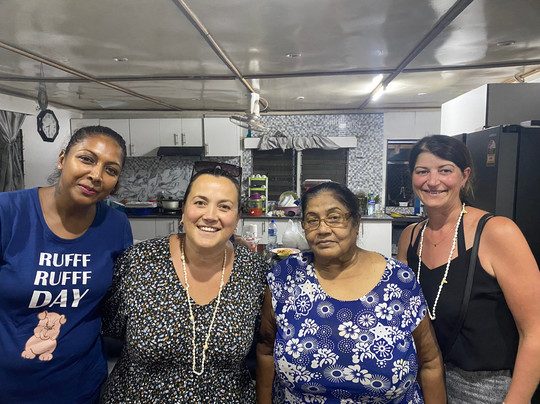 Fiji Essential Transfers & Tours-丹娜努岛必去景点