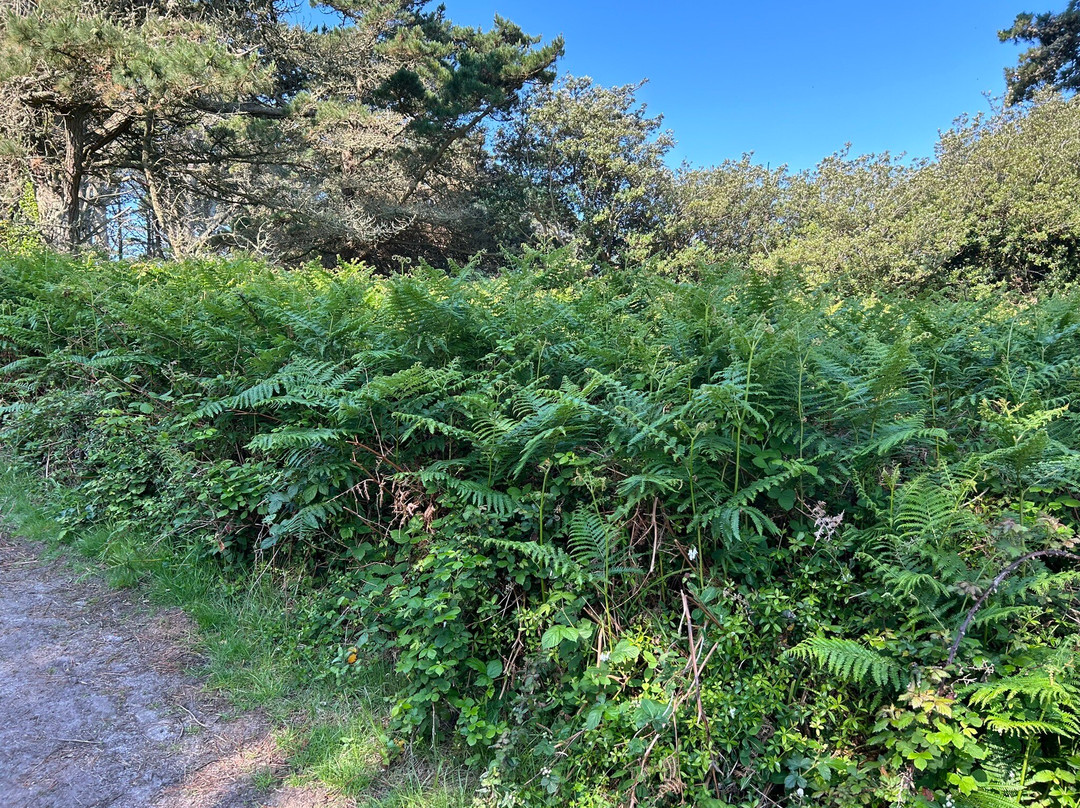 St Mary's Bike Hire-Hugh Town必去景点