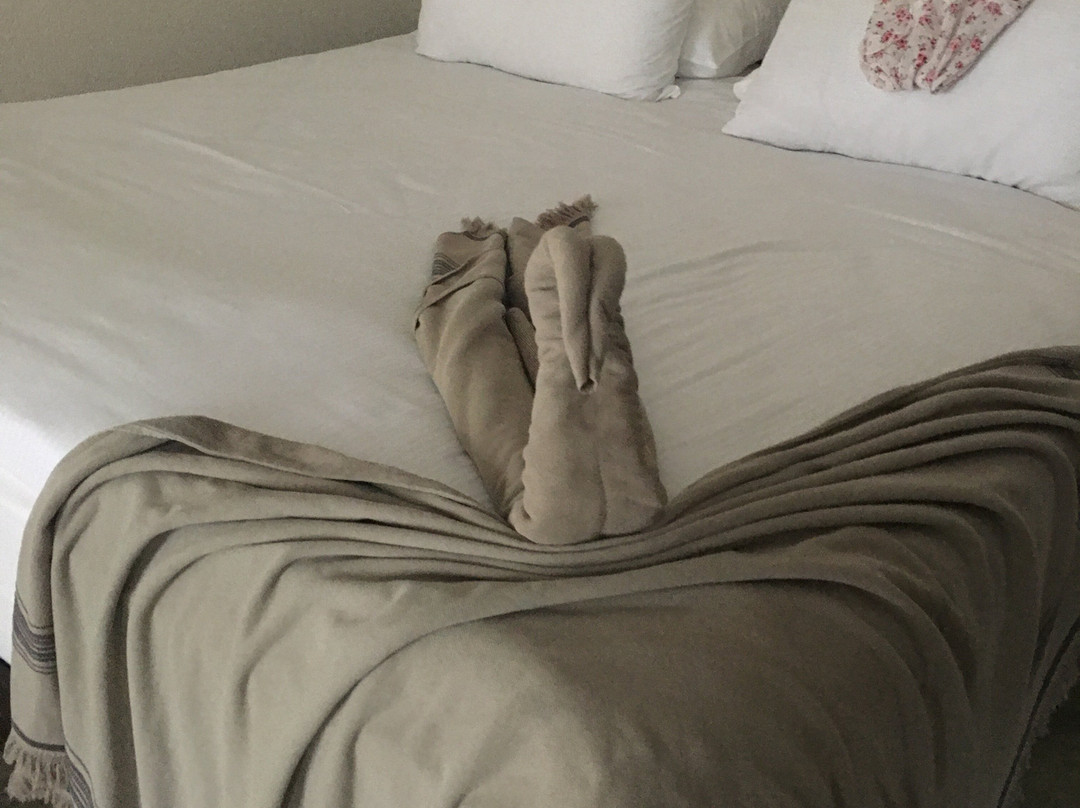 Balmy Beach Resort Kemer主图