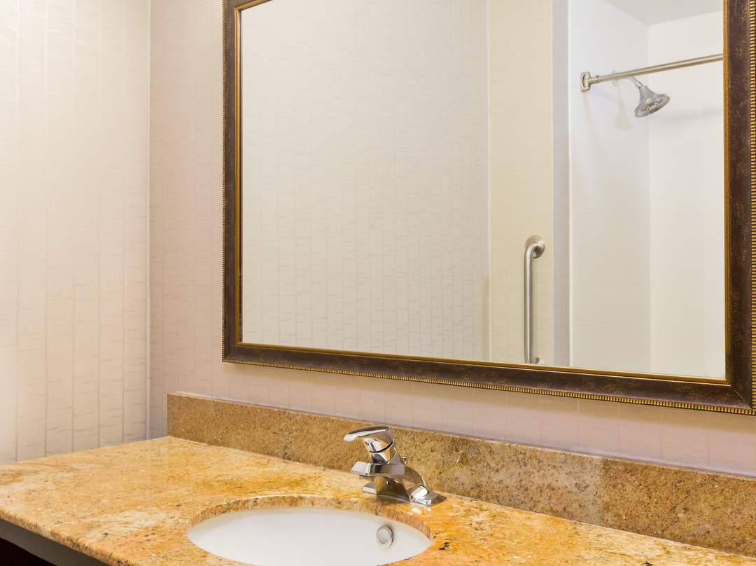 帕勒斯坦快捷假日酒店主图