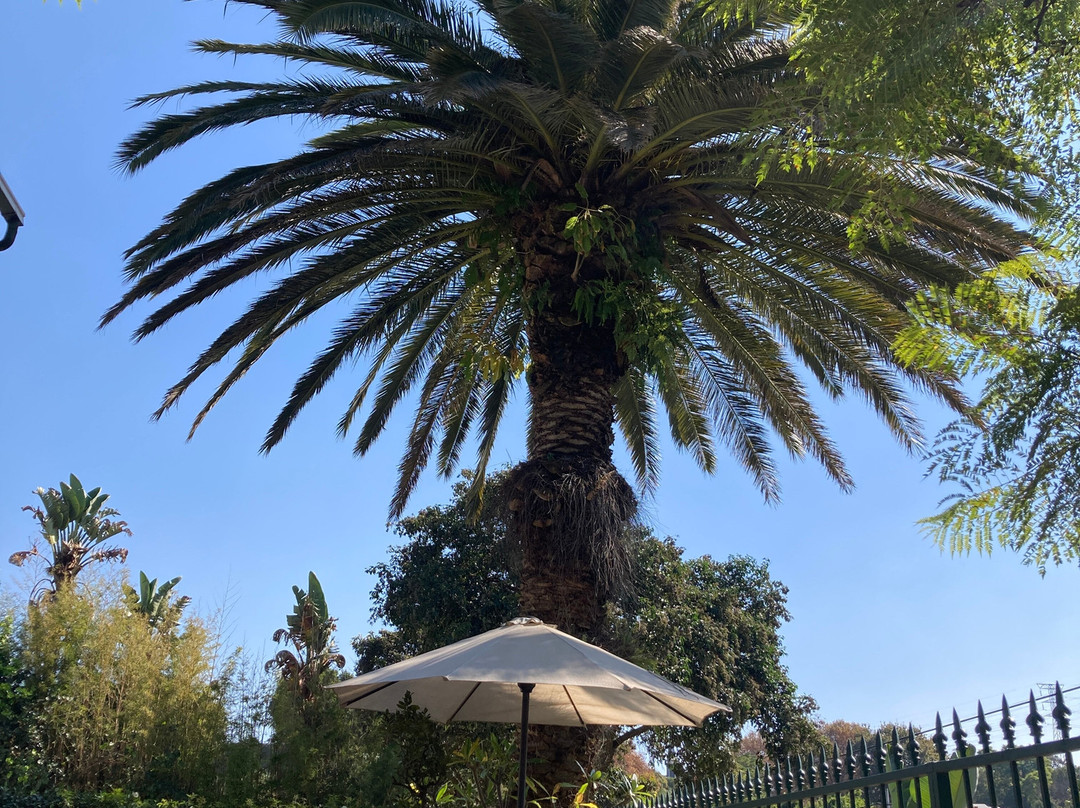 迪阿格特普拉斯B&B酒店主图