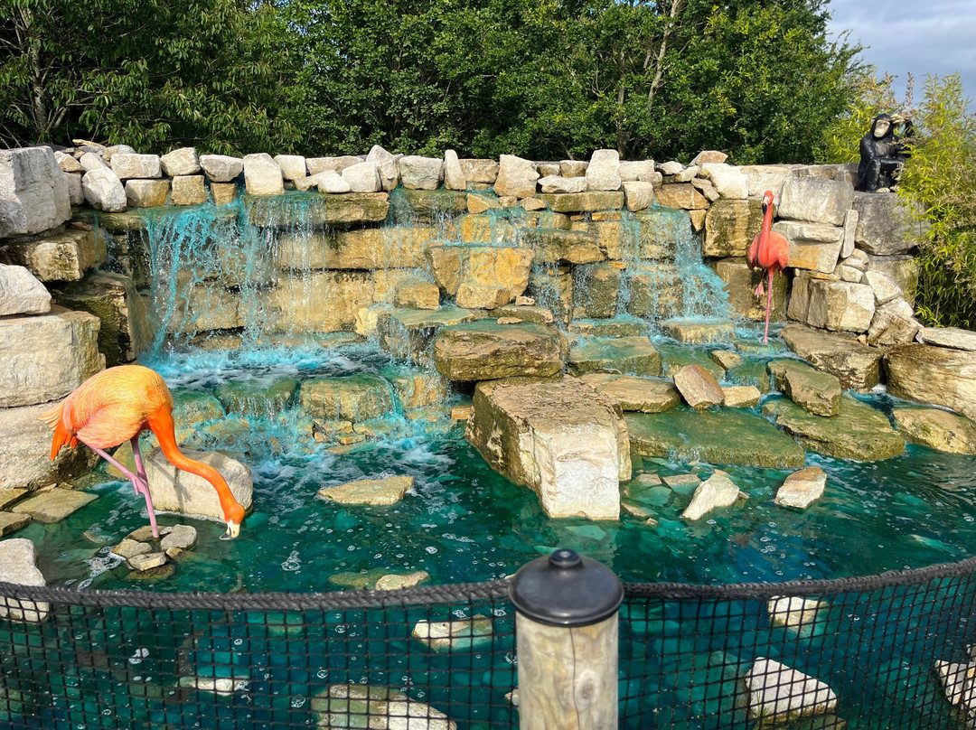 Congo Falls Adventure Golf景点图片