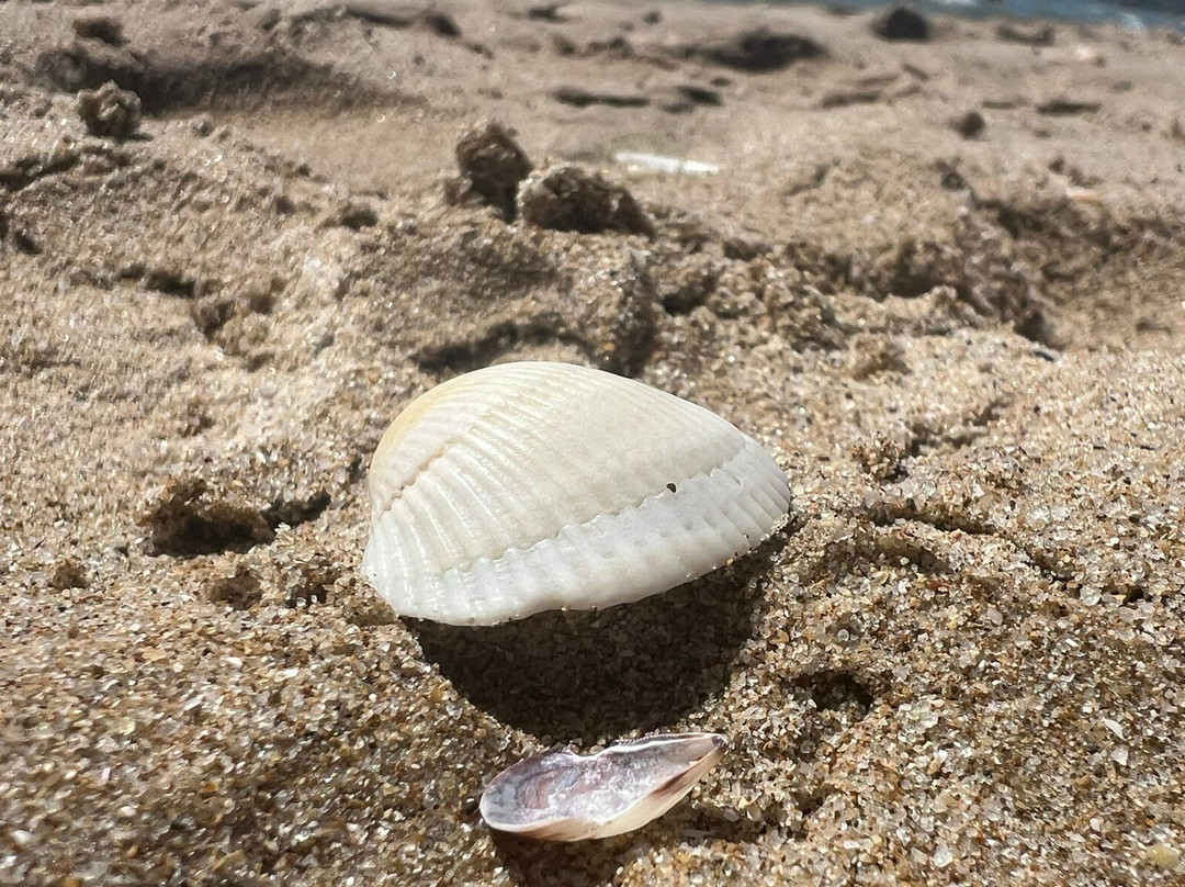 Albena Beach-阿尔伯纳必去景点