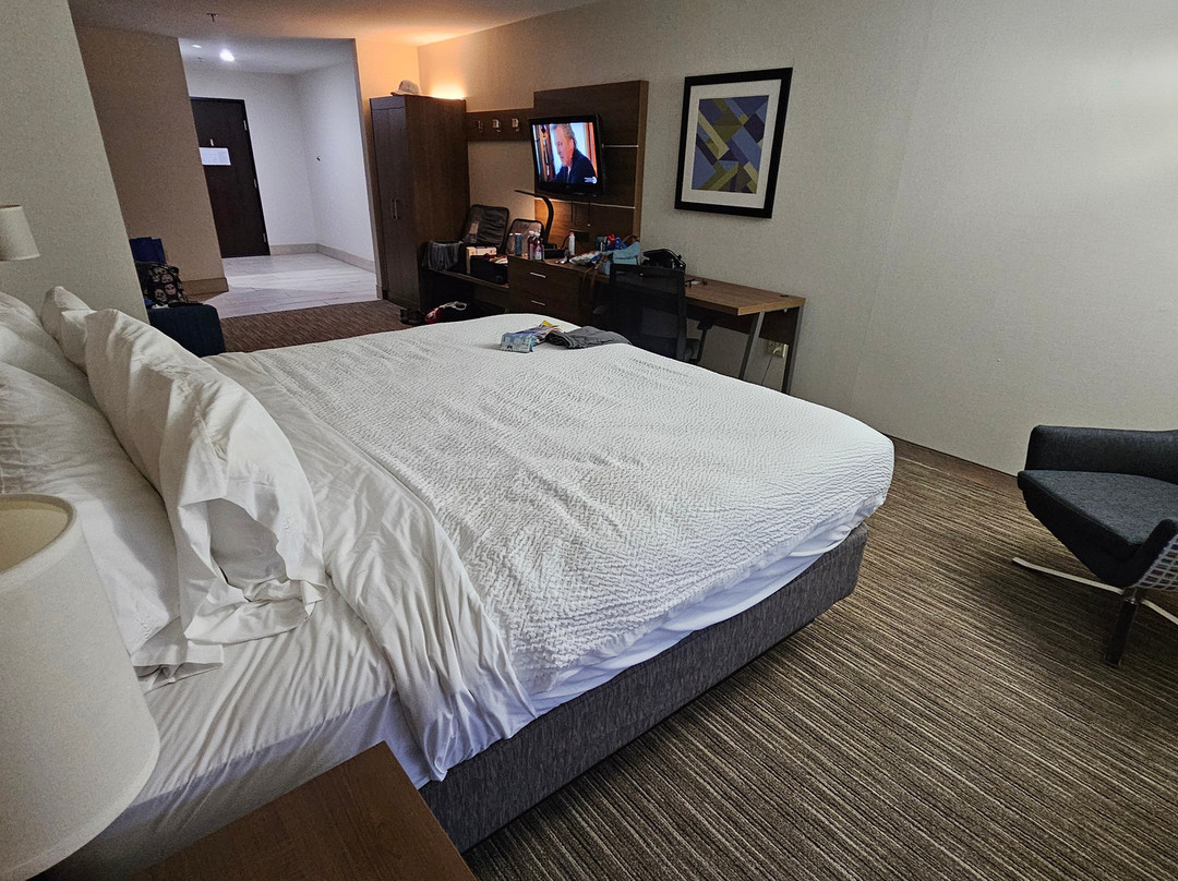 Holiday Inn Express & Suites Swansea主图