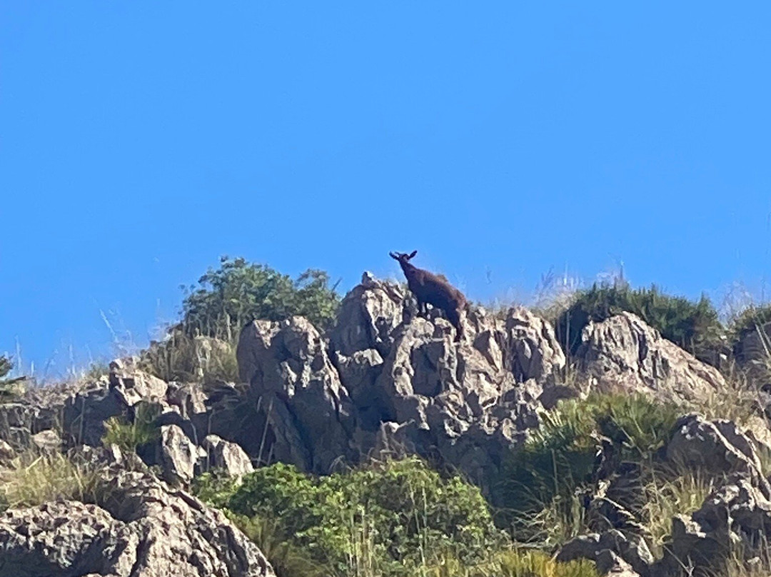 Vall de Boquer-波连萨必去景点