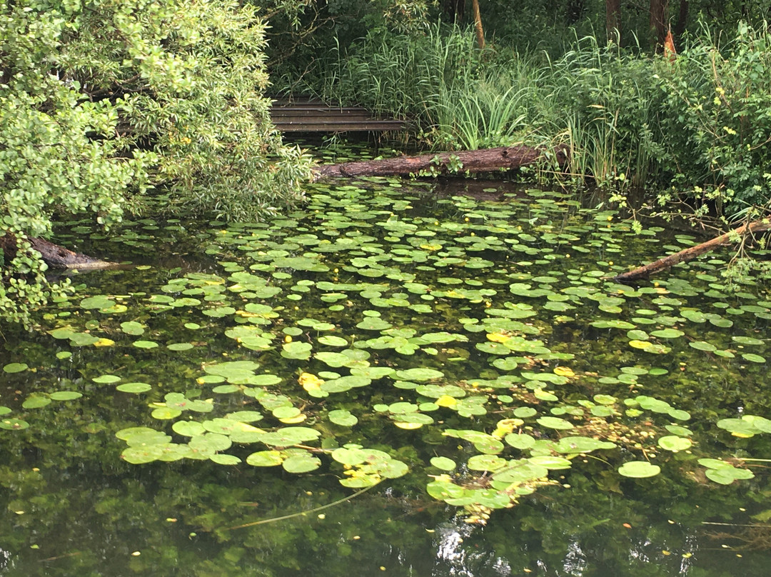 Wakenitz Schifffahrt Quandt景点图片