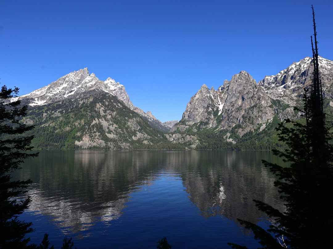 Jenny Lake Overlook景点图片