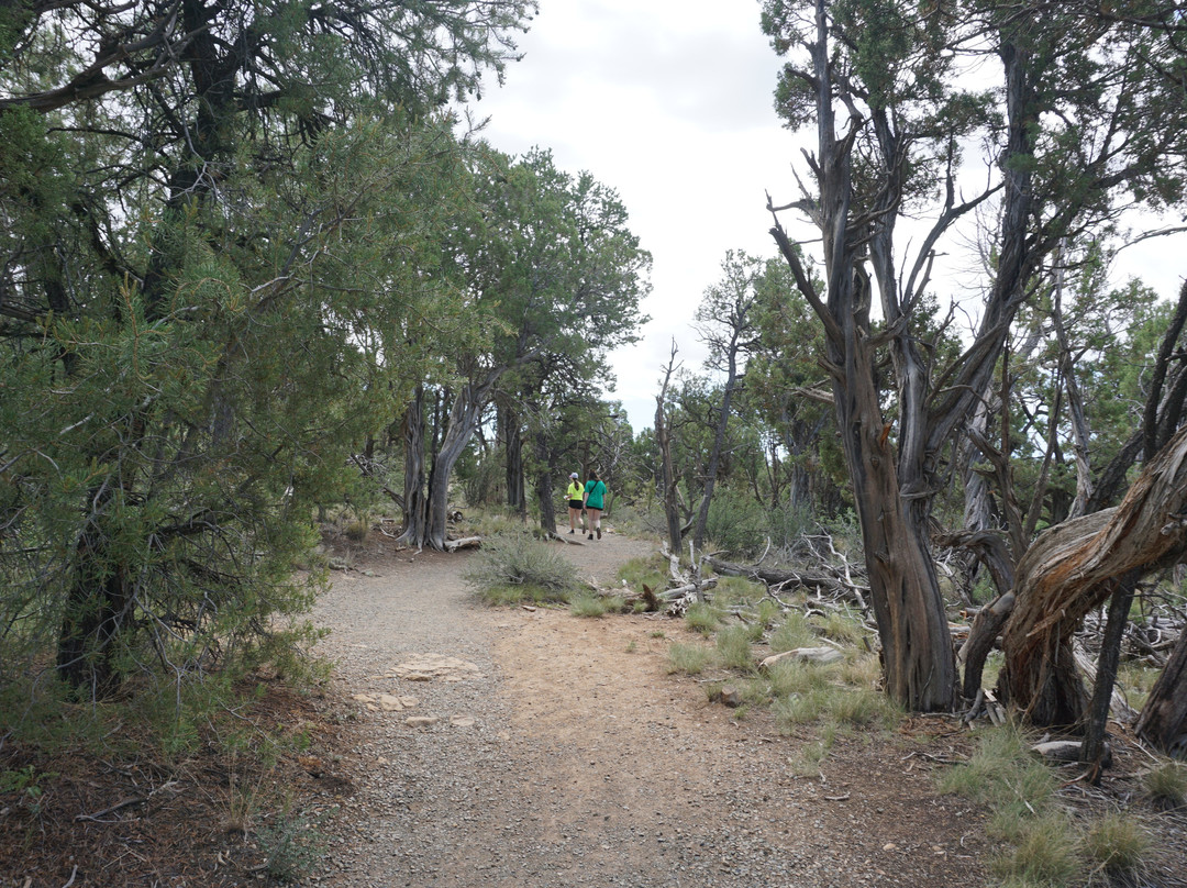 Soda Canyon Overlook Trail-梅萨维德国家公园必去景点