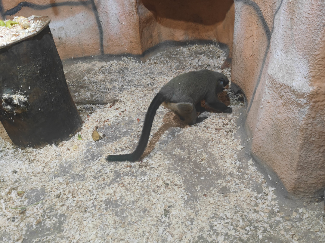 Crocodile Farm-Golubitskaya必去景点