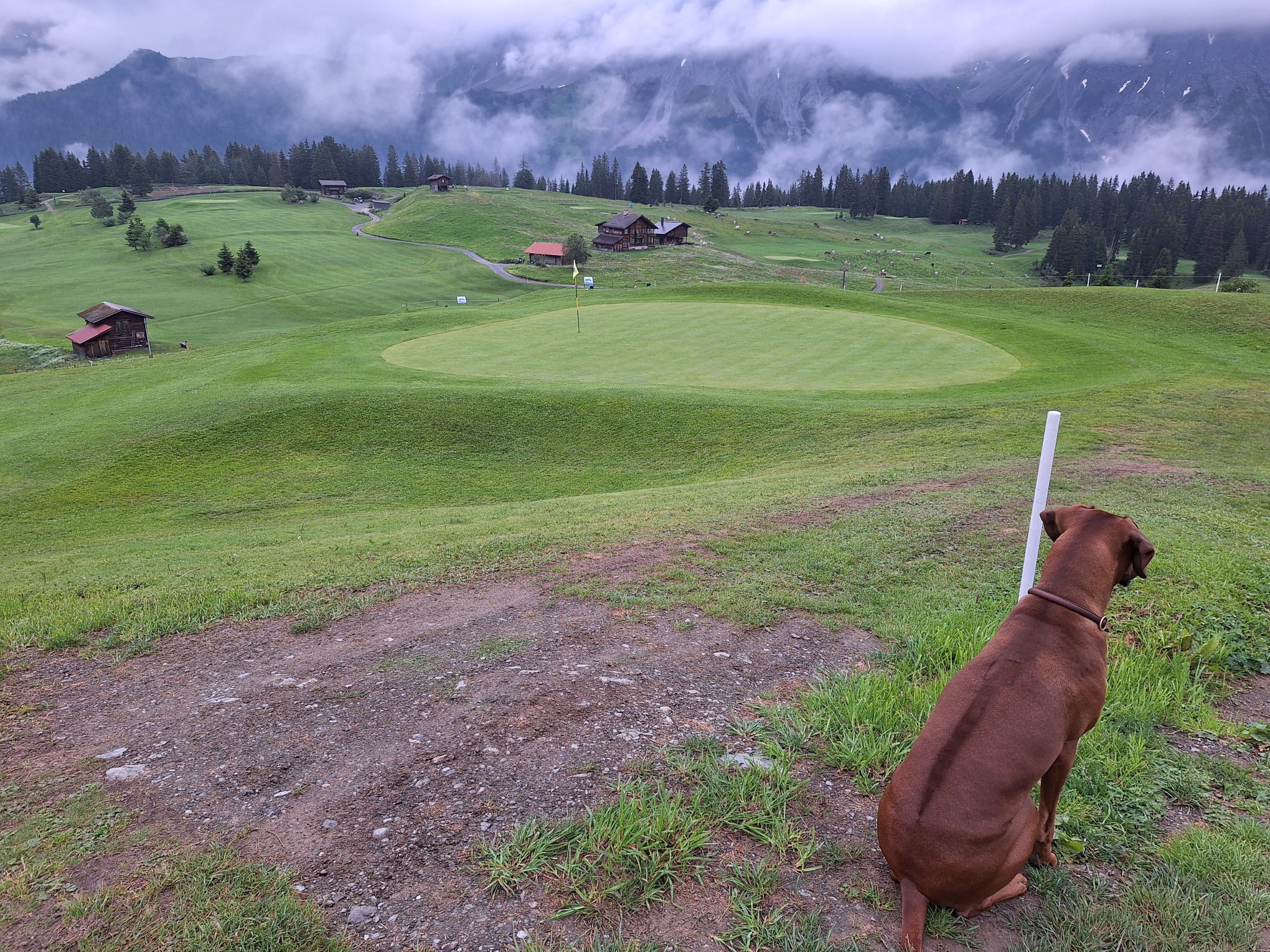 Golf Sporthotel Hof Maran-浴室