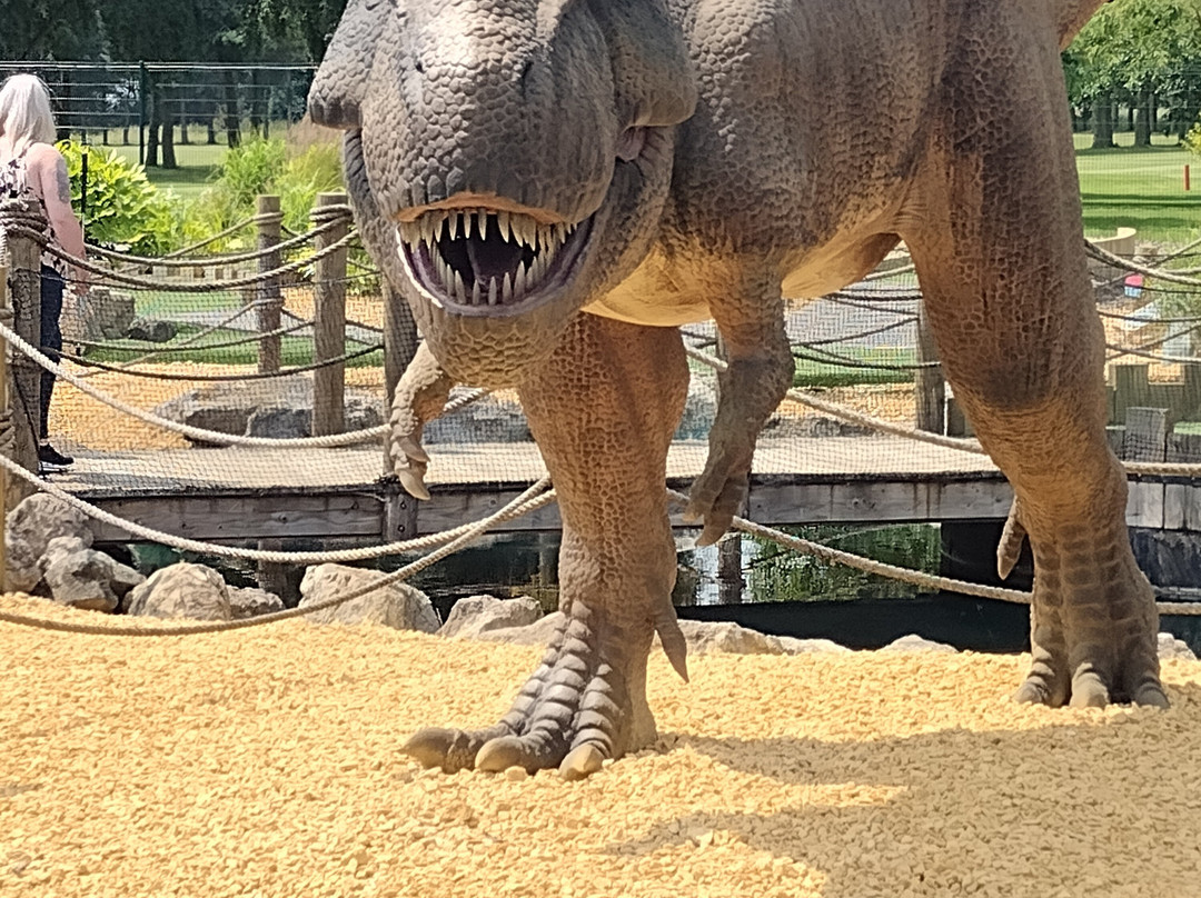 Wolverhampton Adventure Golf景点图片