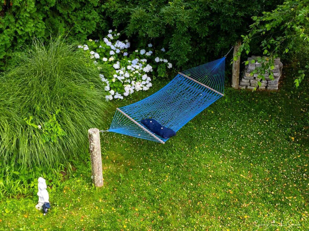 Mermaid Inn of Mystic主图