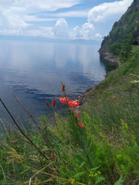 Dialan Baikal景点图片