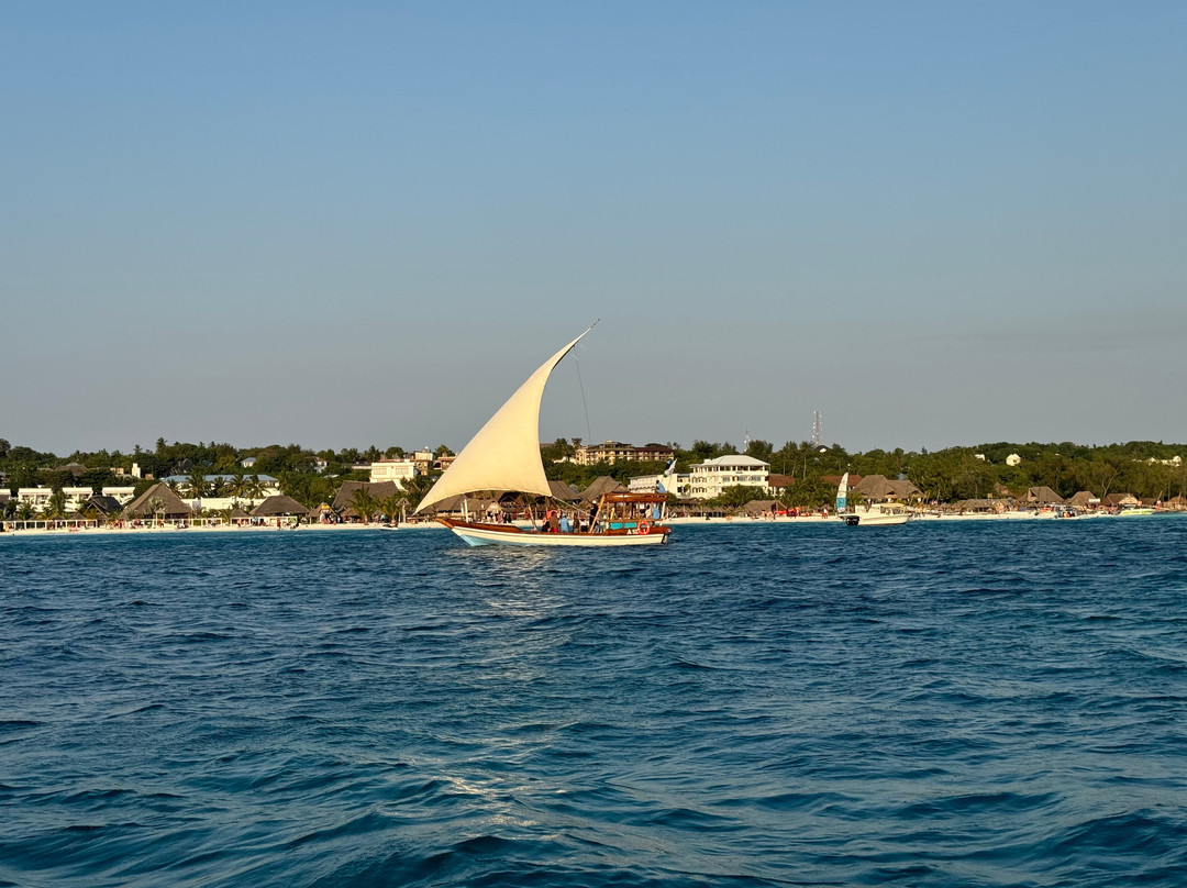 Tazama Africa Tours and Safari景点图片
