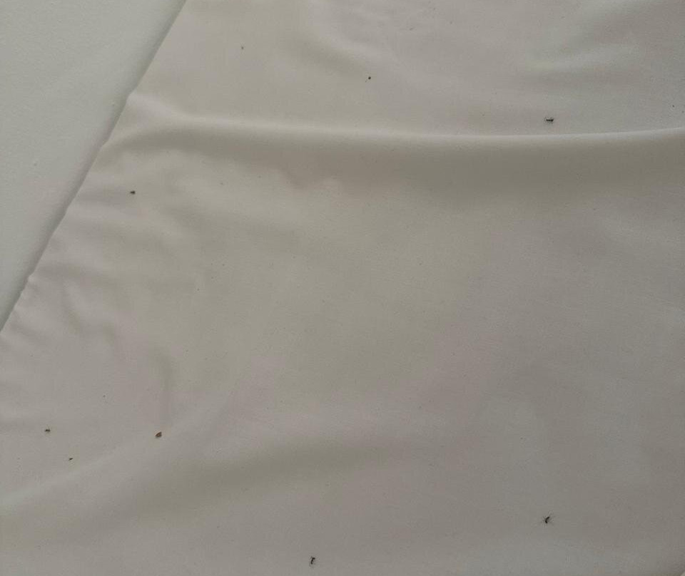 Makronisos Holiday Village主图