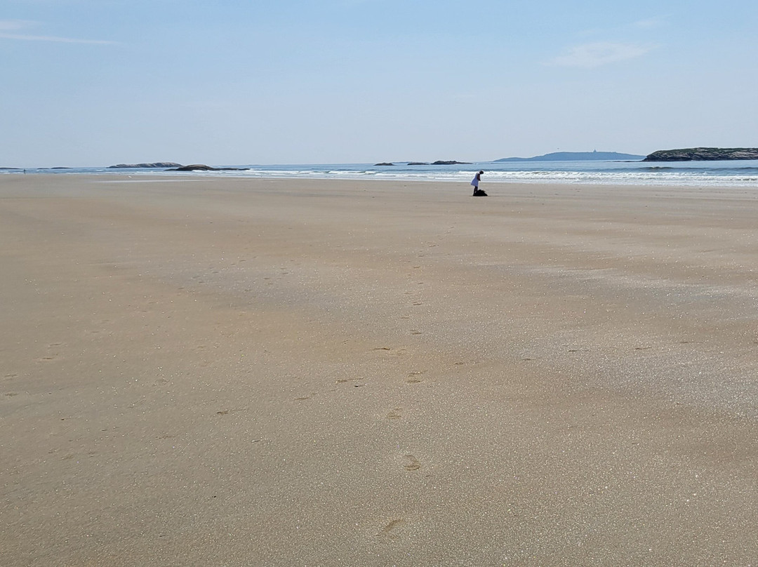 Morse Mountain To Seawall Beach景点图片