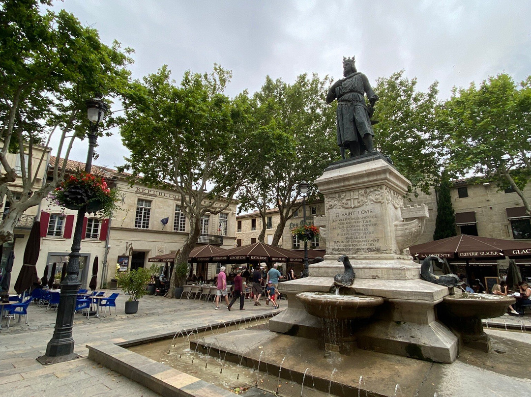 Place Saint Louis景点图片