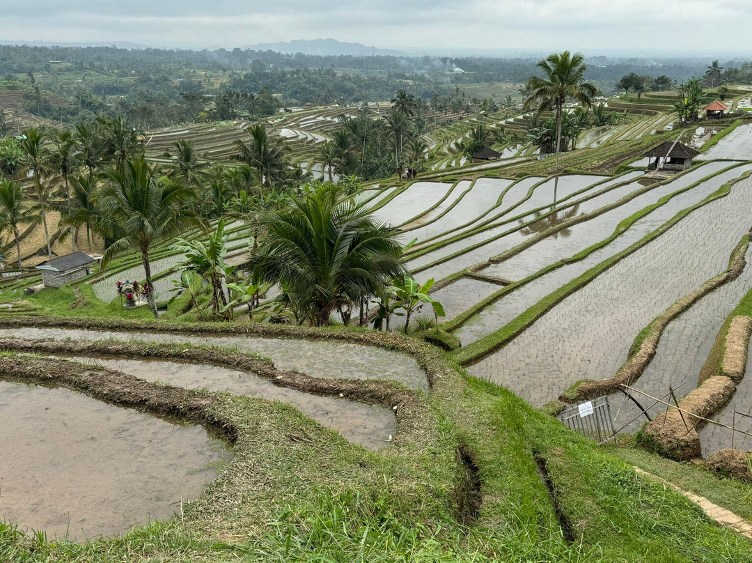 Bhuana Agung Villa & Restaurant主图