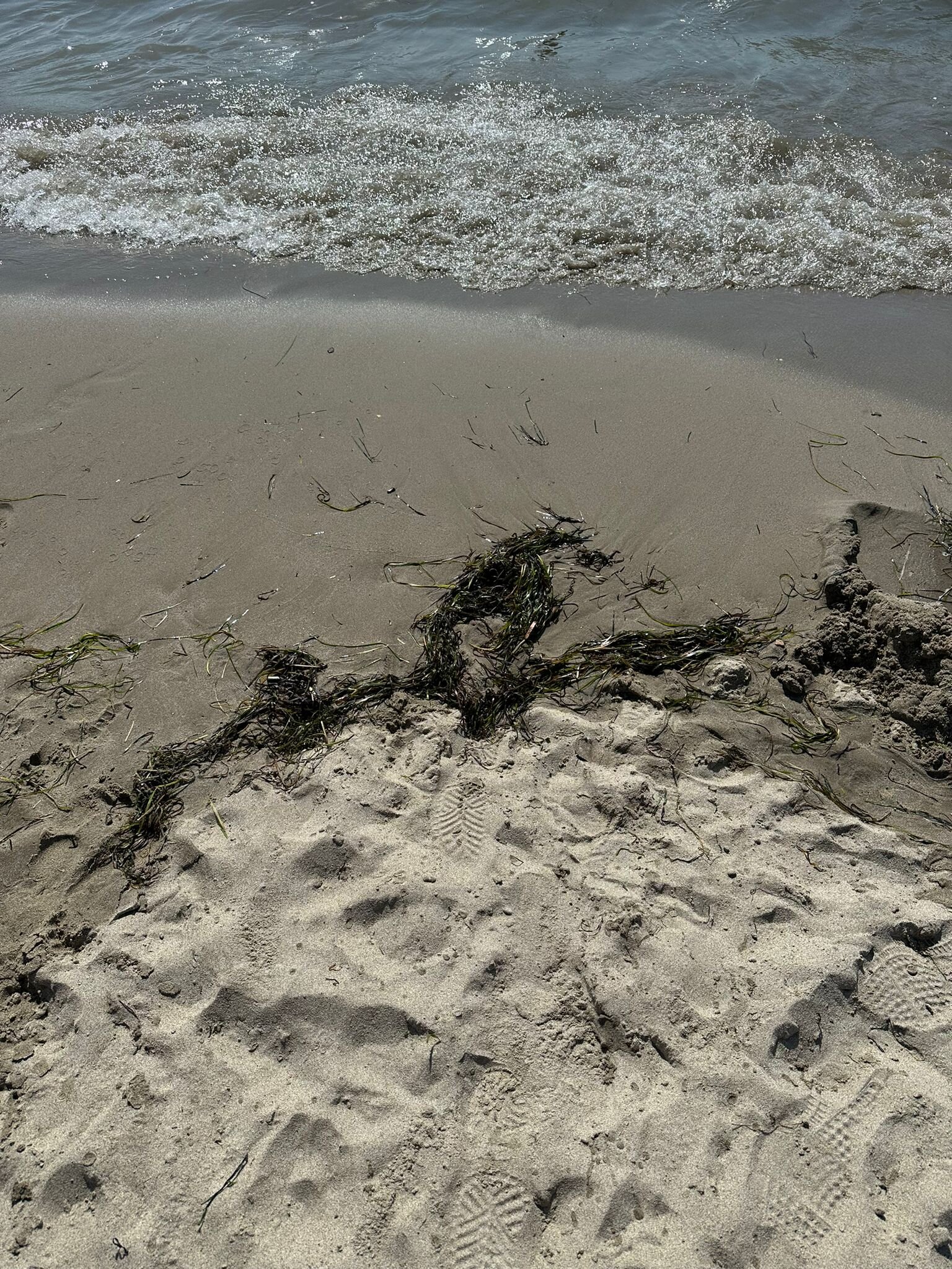 Sandy Beach Resort-泳池