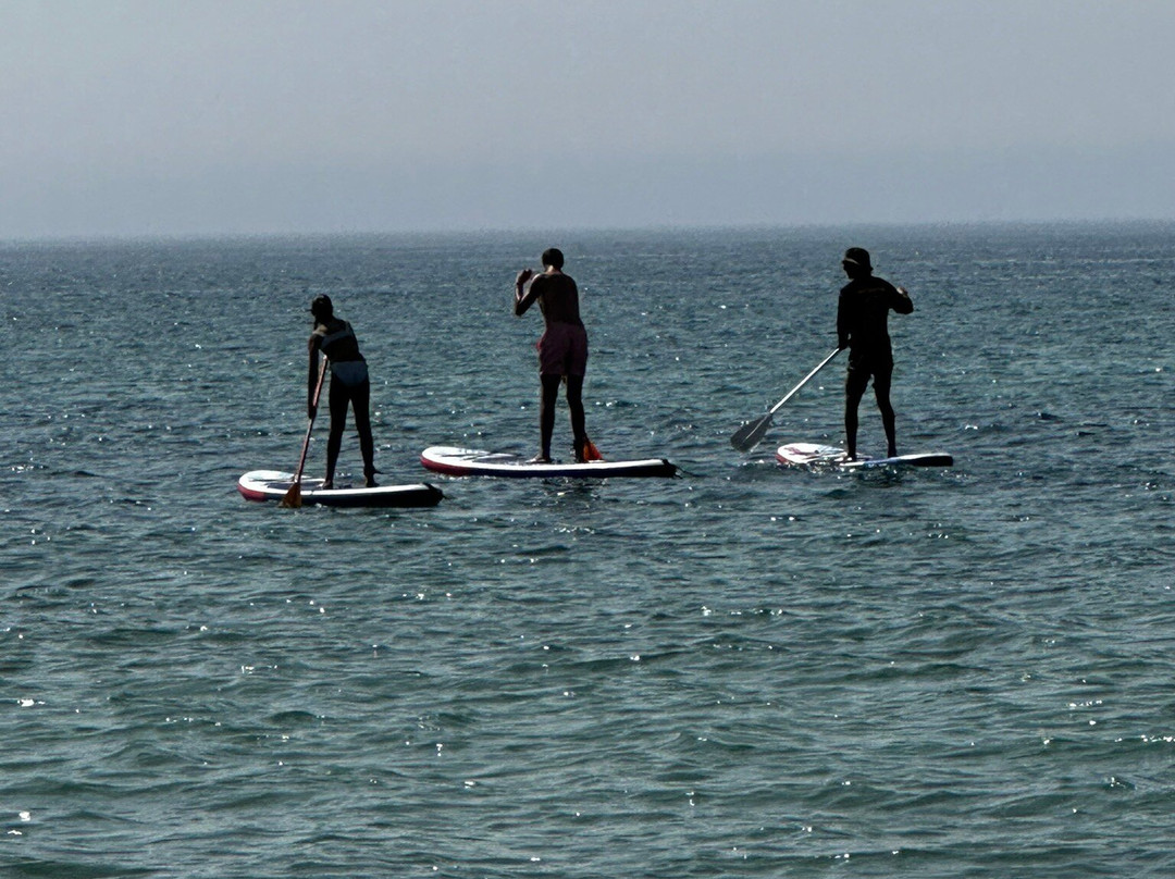 Pata Negra Surf景点图片