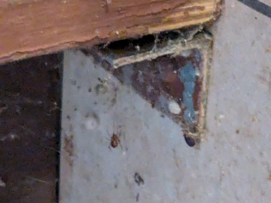 Cranes Mill Park-峡谷湖必去景点