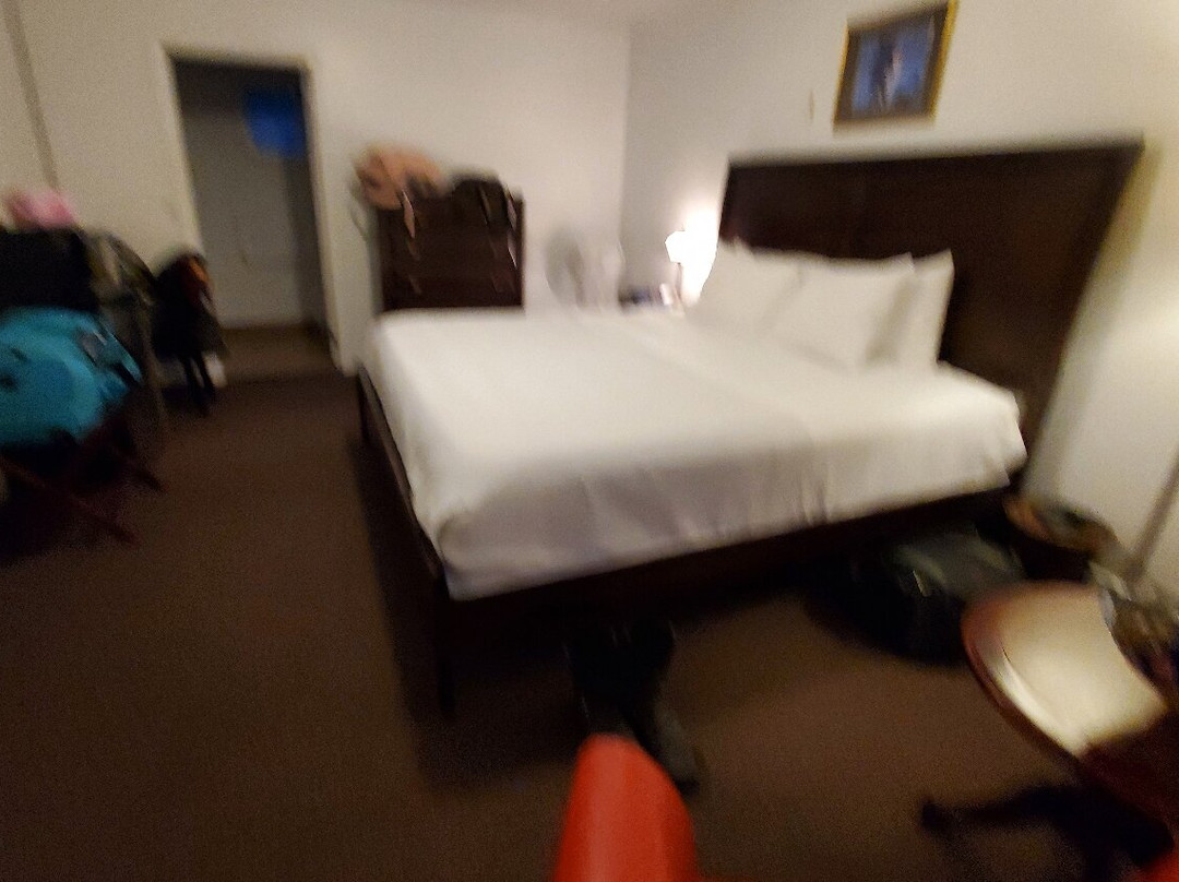 White Fang Motel主图