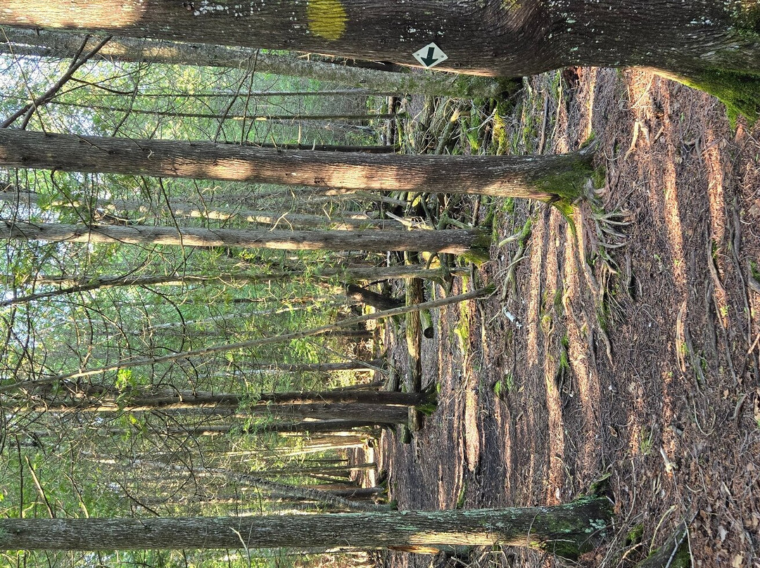 Kangaroo Lake Nature Preserve-Baileys Harbor必去景点