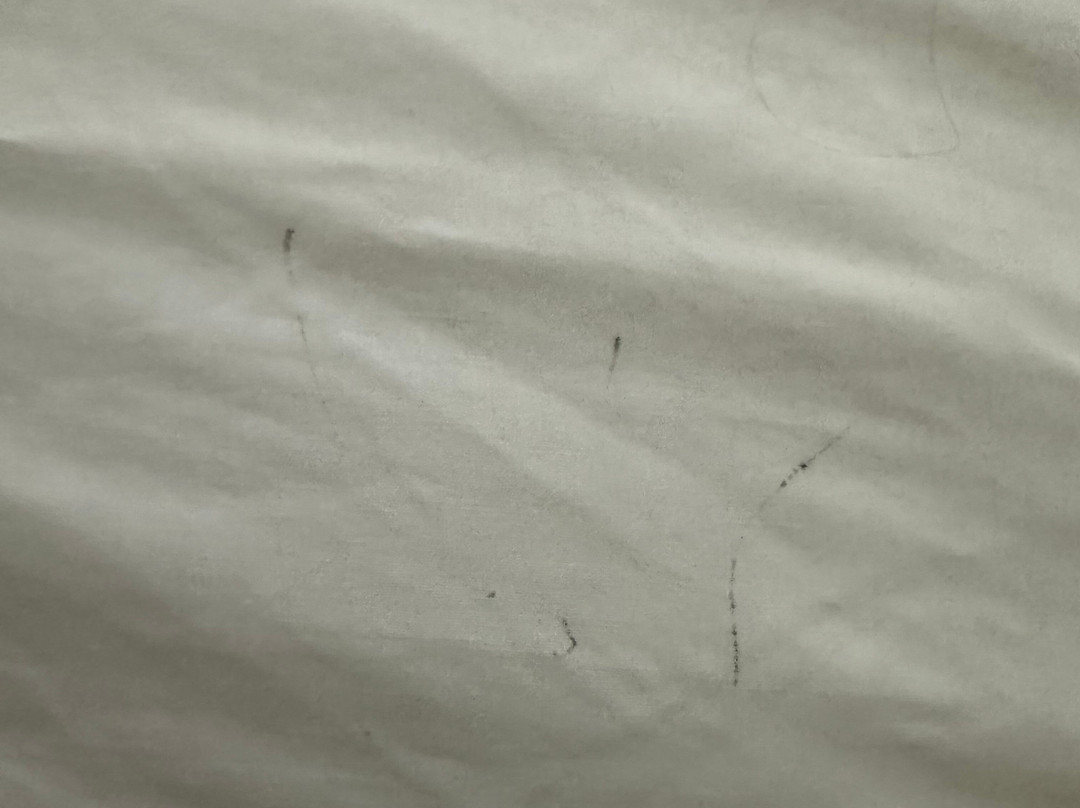 Hampton Inn Holland主图