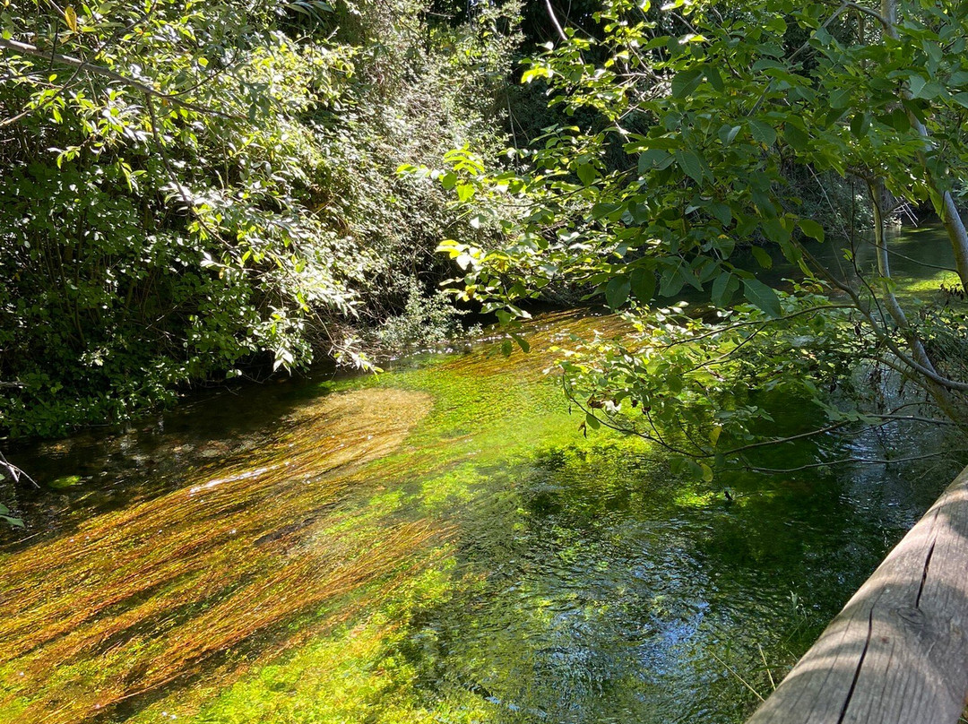 Riserva Naturale Regionale Sorgenti del Fiume Vera景点图片