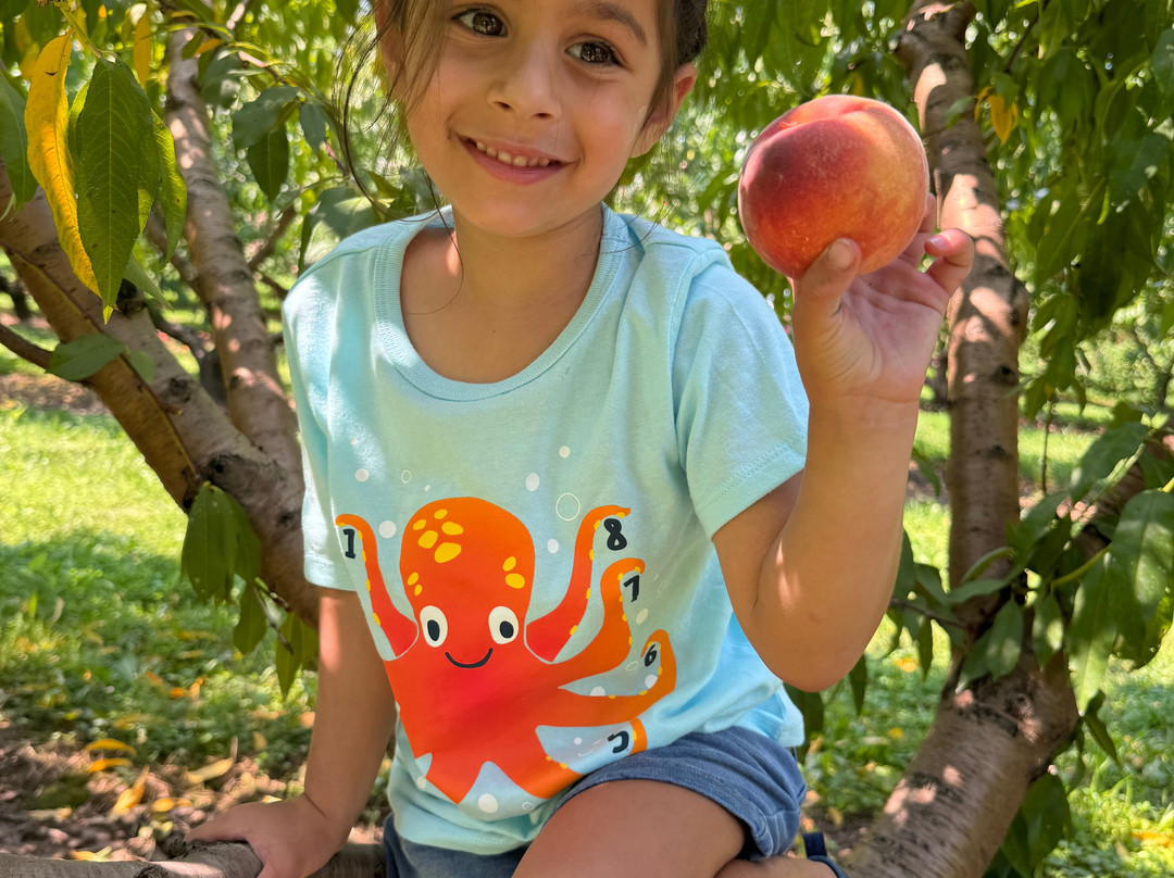 Weber's Peachberry Farm-Glen Arm必去景点