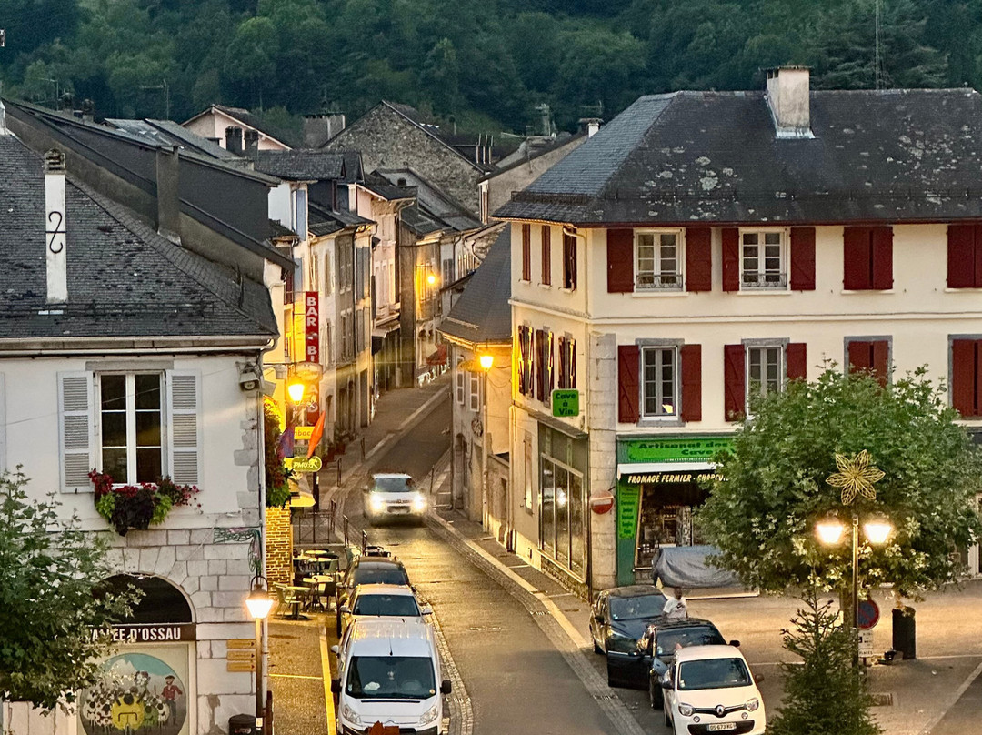 Hotel-Restaurant d'Ossau主图