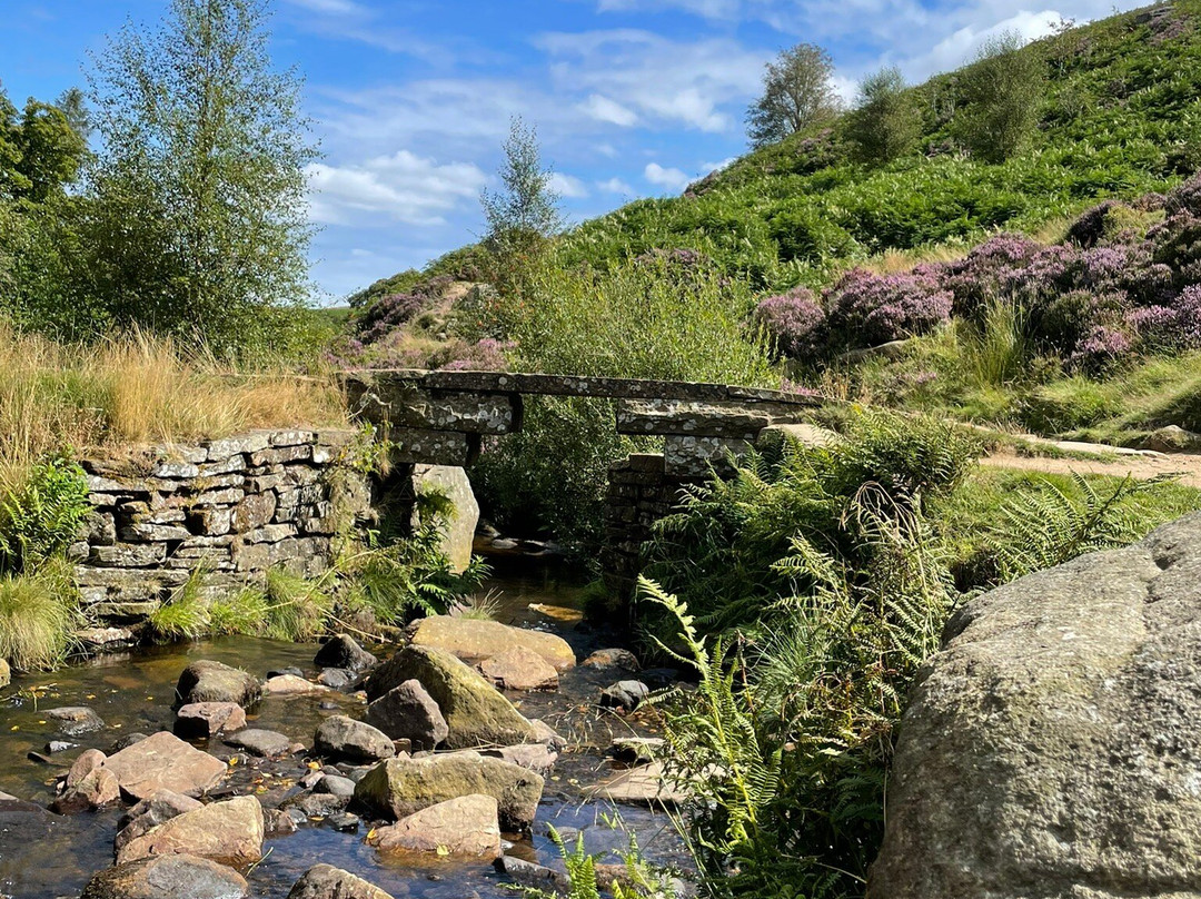 Bronte Waterfall景点图片