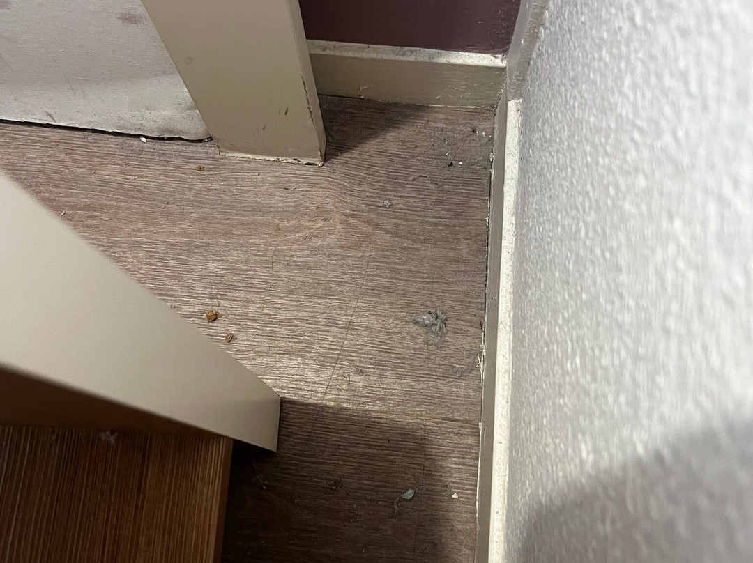 红色福克斯酒店主图