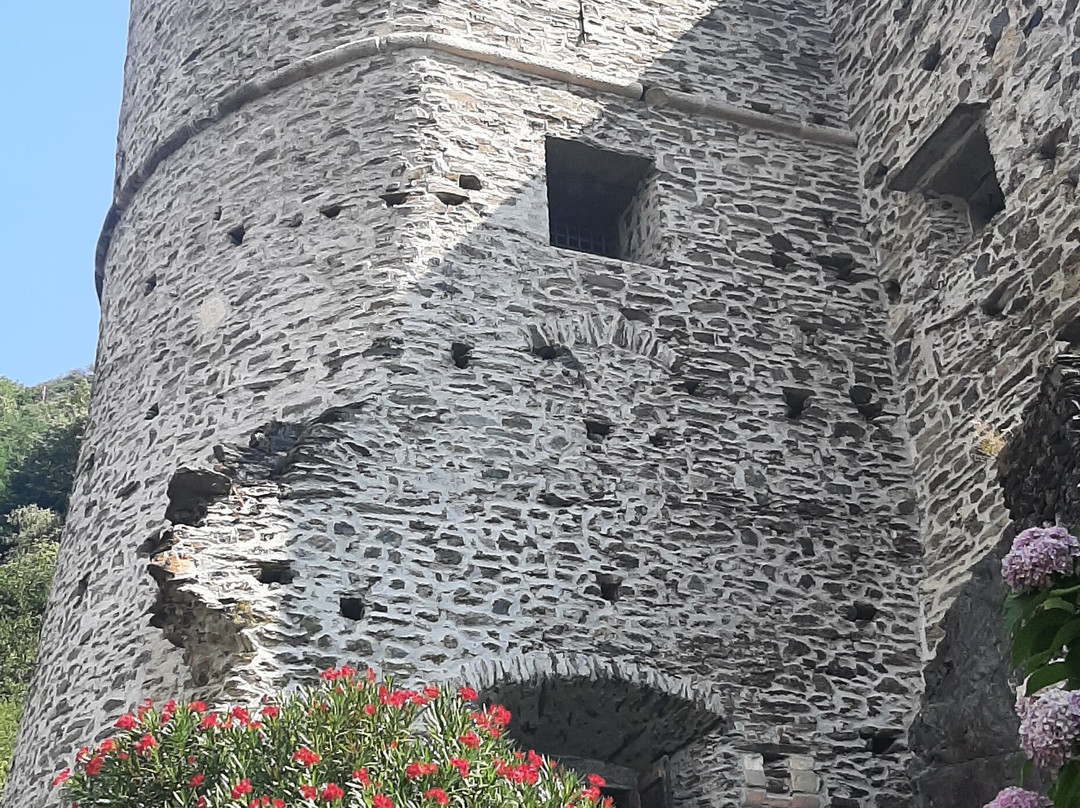 Enoteca Del Castello景点图片