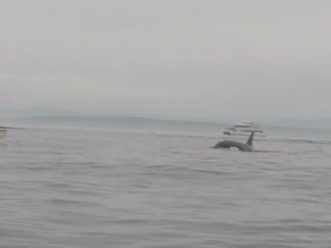 San Juan Outfitters-星期五港湾必去景点