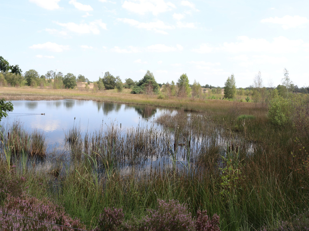 Langoed De Hamert, Wellerlooi-Wellerlooi必去景点