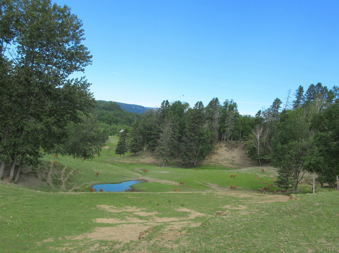 Ferme 5 Étoiles-Sacré-Coeur-Saguenay必去景点
