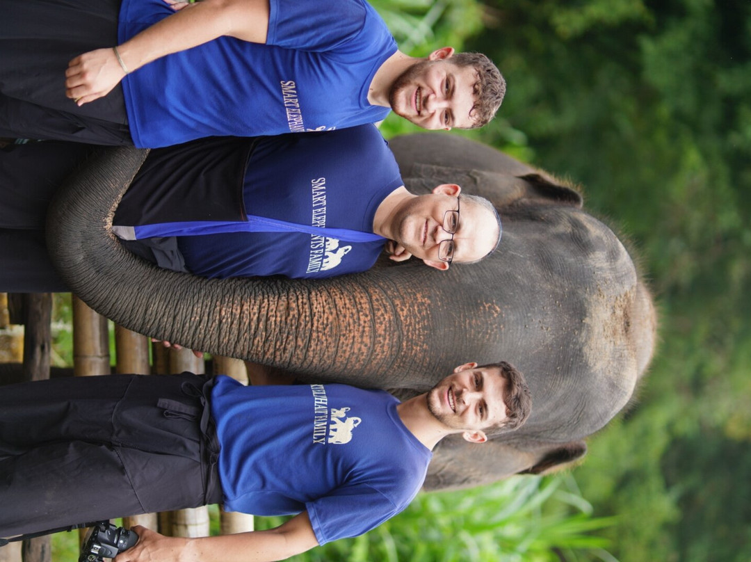 Smart Elephants Family-清迈必去景点