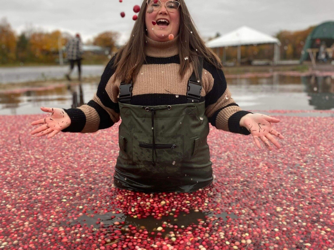 Johnston's Cranberry Marsh & Muskoka Lakes Winery景点图片
