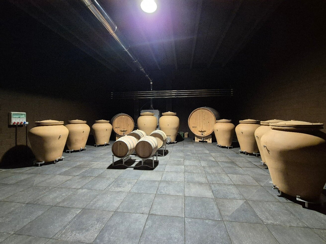 Cantina Luca Leggero景点图片