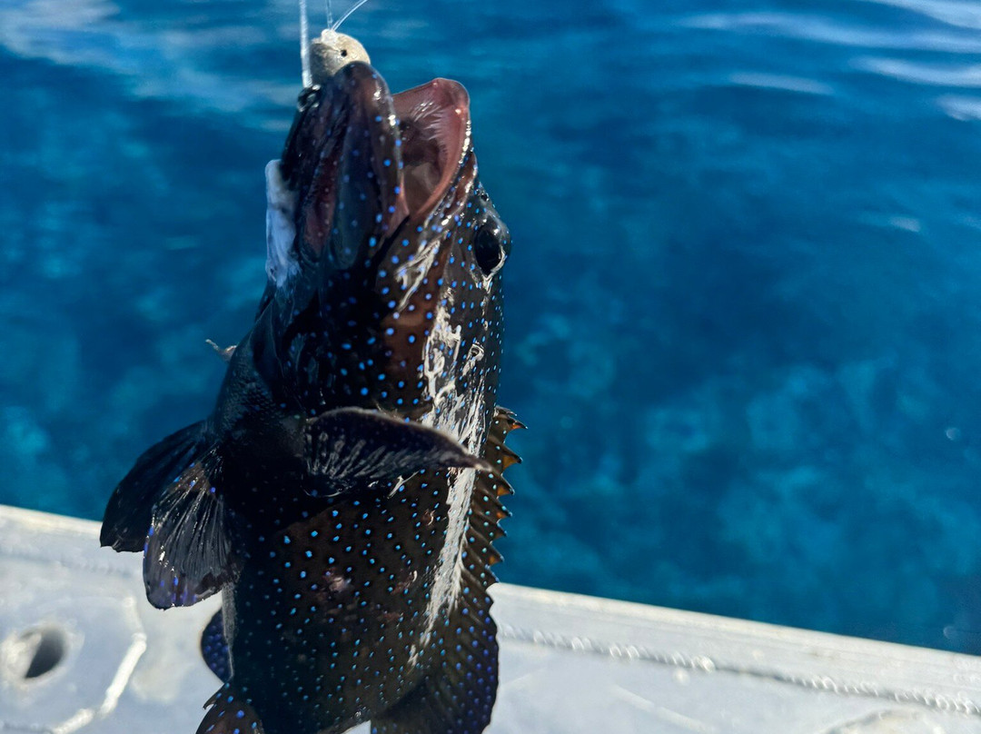 Wahoo Fishing Charters-Arutanga必去景点