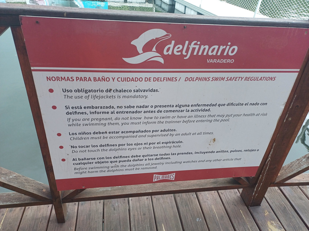 Delfinario景点图片