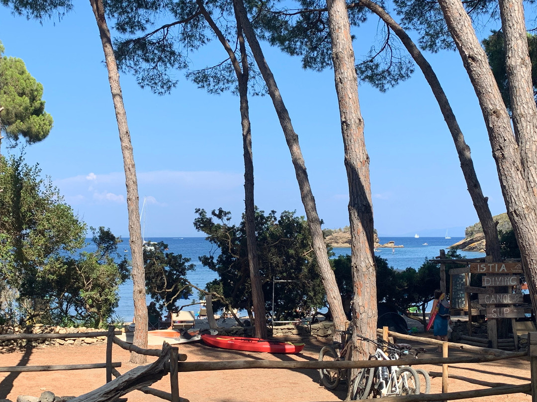Tenuta Delle Ripalte主图