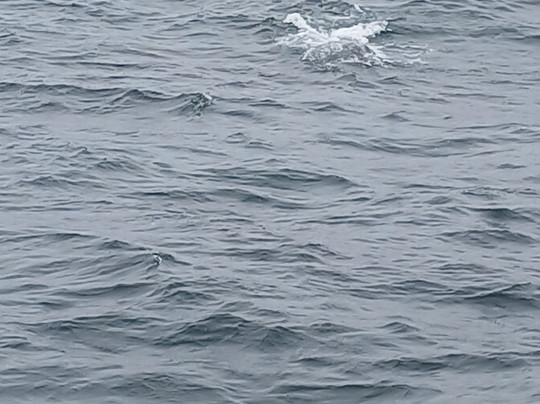 Tradewinds Charters-Depoe Bay必去景点