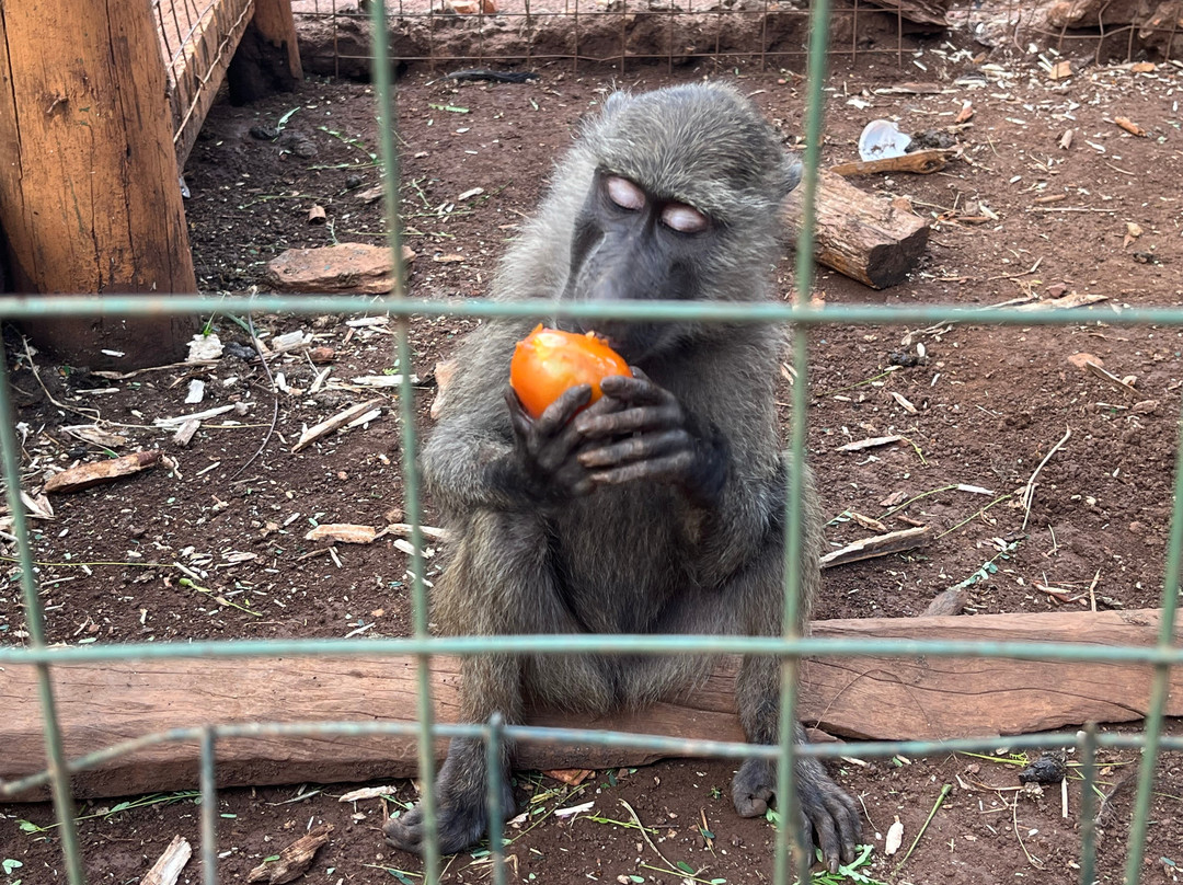 Nile Reptile Park-金贾必去景点