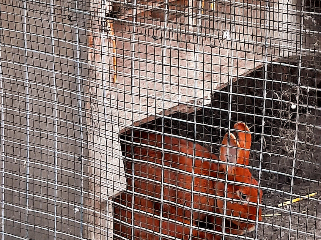 StrandResort Markgrafenheide主图