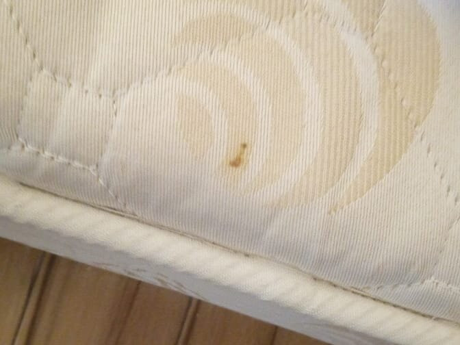 Hotel Inter主图