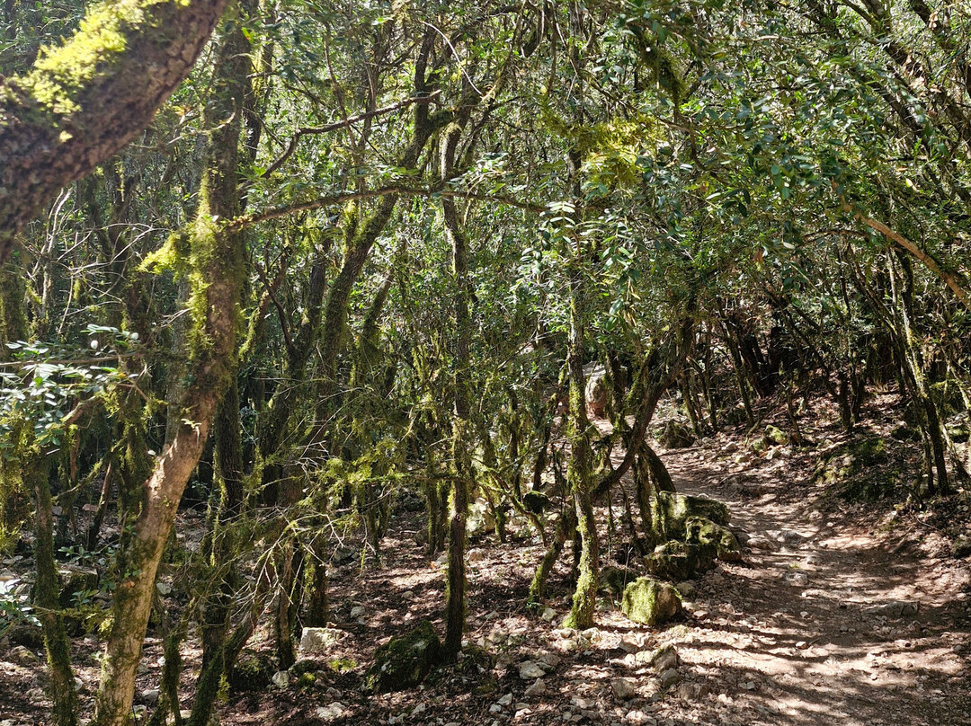 Sentier Du Garde Canal景点图片