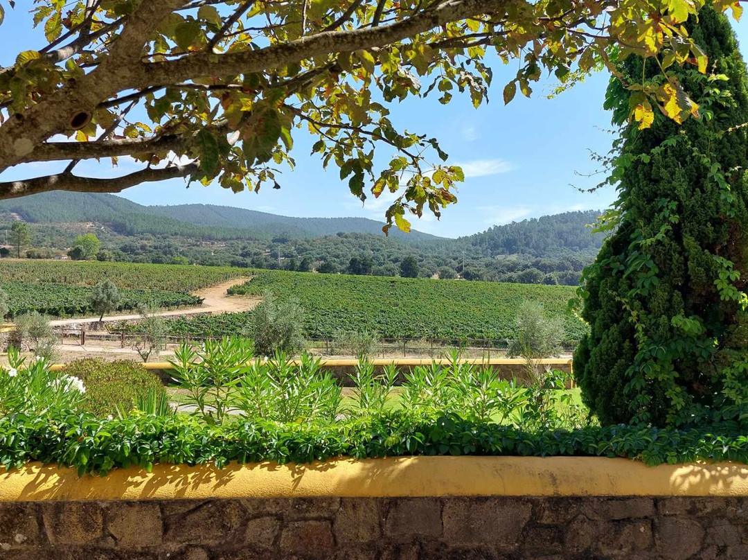 Quinta da Fonte Souto景点图片
